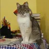 Отзыв от Инга Игнатьева